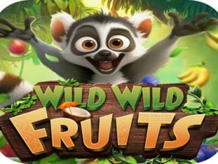 Wild Wild Fruits icon